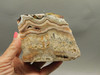 Red Crazy Lace Agate Lapidary Stone Rough Rock Mexico #O10