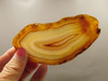 Brazilian Piranha Agate Stone Slab Lapidary Rough Rock #O4