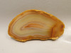 Brazilian Piranha Agate Stone Slab Lapidary Rough Rock #O4