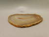 Brazilian Piranha Agate Stone Slab Lapidary Rough Rock #O4