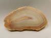 Brazilian Piranha Agate Stone Slab Lapidary Rough Rock #O4