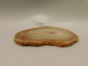 Brazilian Piranha Agate Stone Slab Lapidary Rough Rock #O4