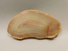 Brazilian Piranha Agate Stone Slab Lapidary Rough Rock #O4