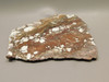 Wild Horse Stone Slab Unpolished Rough Rock Arizona #O3