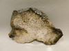 Petrified Palm Wood Unpolished Stone Slab Rough Rock Texas #O3