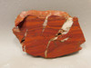 Rainbow Jasper Stone Slab Unpolished Red Rough Rock #O11