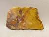 Petrified Wood Unpolished Stone Slab Rough Rock #O40