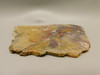 Petrified Wood Unpolished Stone Slab Rough Rock #O40