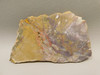 Petrified Wood Unpolished Stone Slab Rough Rock #O40