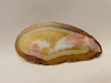 Brazilian Agate Polished Stone Slab Piranha Agate Rock #O13