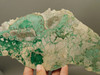 Lucin Variscite Green Polished Stone Decorator Rock Utah #O10
