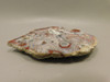 Red Crazy Lace Agate Polished Rock Decorator Stone Mexico #O5