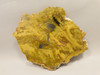 Petrified Wood Polished Stone Slab Henry Mountain Utah #O188-12