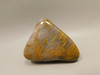 Petrified Wood Tumbled Polished Stone Grassy Mountain Oregon #O10