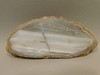 Polka Dot Agate Nodule Polished Rock Chuckwalla Springs California #O3