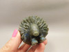 Hedgehog Figurine Labradorite Carved 2.2 inch Stone Animal #O1