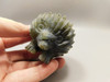 Hedgehog Figurine Labradorite Carved 2 inch Stone Animal #O2