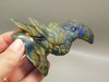 Toucan Bird Figurine Labradorite Polished Rock Healing Stone #O2