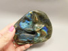 Deer Figurine Gemstone Animal Carving Labradorite #O84