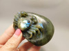 Crab Figurine Labradorite Stone Animal 3.2 inch Carving #O332