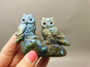 Owls Figurine Labradorite Hand Carved Rock Birds Stone Carving #O359