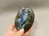 Scorpion Figurine Animal Carving Labradorite Carved Stone #O236