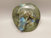 Frog Figurine Labradorite Carved Rock 3.25 inch Stone Animal #O68