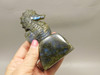 Seahorse Figurine Labradorite Gemstone Animal 4.4 inch Carving #O340
