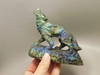 Wolf Figurine Labradorite Stone Animal 4.3 inch Coyote Carving #O205