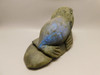 California Sea Lion Figurine Labradorite 6 inch Animal Stone Carving #O128