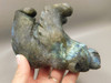 Bear Figurine Labradorite 5 inch Animal Stone Carving #O186