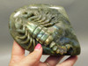 Scorpion Carving Figurine Animal Labradorite Hand Carved Rock #O233