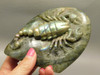 Scorpion Carving Figurine Animal Labradorite Hand Carved Rock #O233