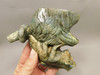 Chameleon Lizard Figurine Labradorite Stone Animal Carving #O231
