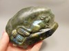 Mouse Labradorite Hand Carved 4.7 inch Gemstone Animal #O154
