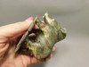 Warthog Figurine Labradorite Hand Carved Stone Animal #O376