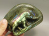 Warthog Figurine Labradorite Carved Stone Animal #O375