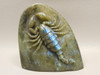 Scorpion Figurine Animal Carving Labradorite Hand Carved Rock #O83