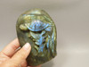 Sea Turtle Figurine Labradorite Carved 4.1 inch Gemstone Carving #O271