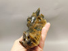 Dragon Head Tiger-Eye Hand-Carved Fantasy Stone Carving #O413