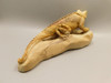 Lizard Iguana Kalahari Jasper Stone Animal Carving #O281