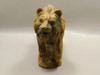 Lion Figurine Tiger-eye 7 Inch Hand Carved Gemstone Animal #O221