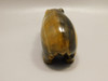 Hippopotamus Figurine Tiger-eye 4 inch Animal Gemstone Carving #O508