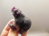 Bear Figurine Gemstone Animal Carving Purple Fluorite Crystal #O44