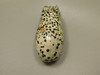 Hippopotamus Figurine Dalmatian Jasper 3 inch Animal Carving #O1