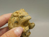 Hedgehog Figurine Stone Animal Carving Kalahari Jasper 2 inch #O1