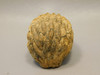 Hedgehog Figurine Stone Animal Carving Kalahari Jasper 2 inch #O1