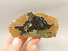 Priday Agate Thunderegg Richardson Ranch Polished Rock #O6
