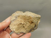 Red Crazy Lace Agate Polished Rock Decorator Stone Mexico #O3