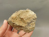 Red Crazy Lace Agate Polished Rock Decorator Stone Mexico #O3